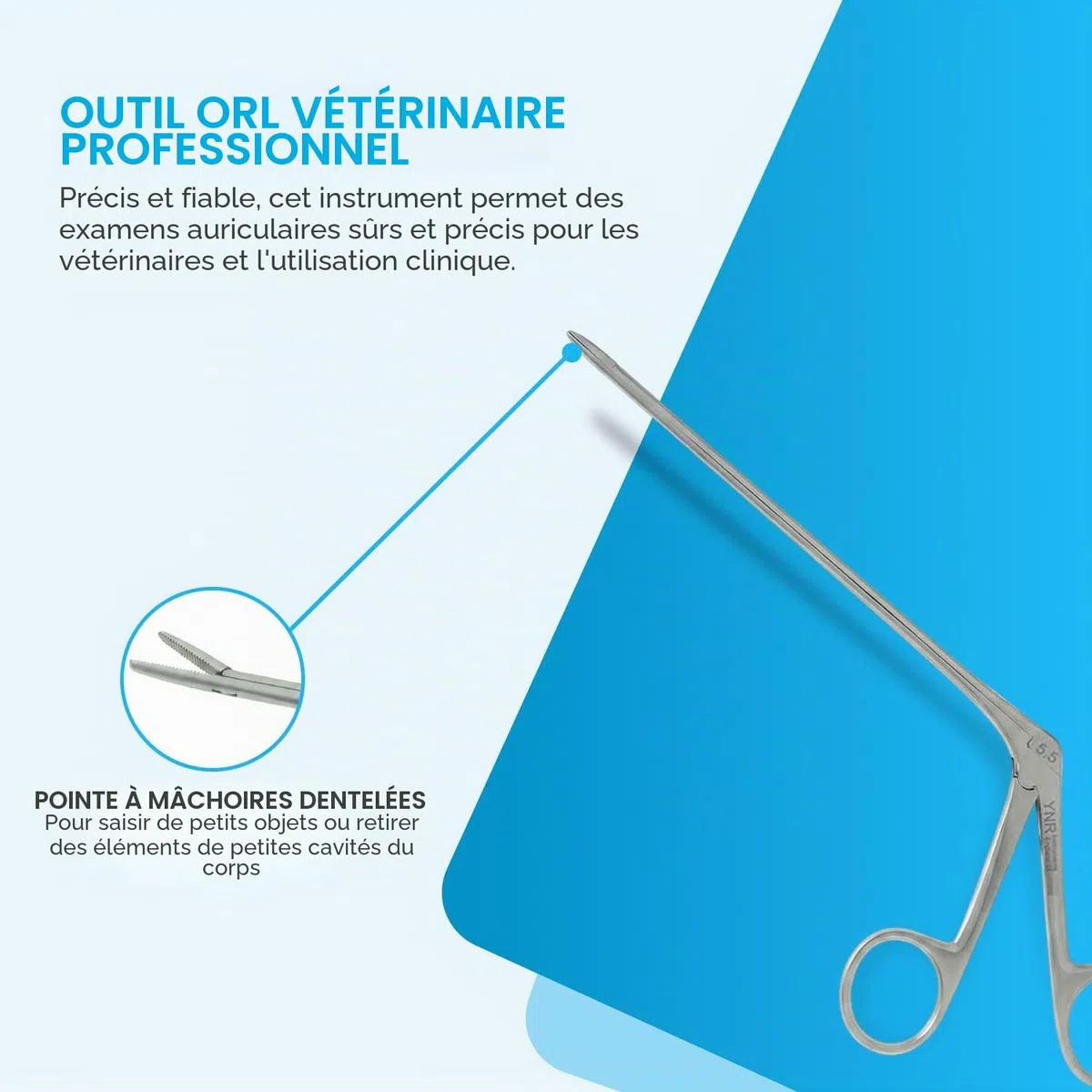 YNR Vet Examine Otoscope vétérinaire – Ensemble de spéculum de diagnostic vétérinaire, kit complet d'otoscope, étui de rangement portable, examen pour chiens, chats, bétail et toutes les espèces